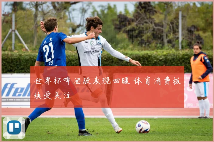 世界杯啤酒股表现回暖 体育消费板块受关注