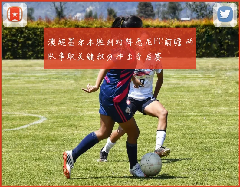 澳超墨尔本胜利对阵悉尼FC前瞻 两队争取关键积分冲击季后赛