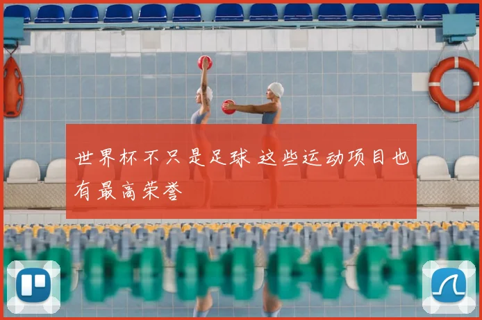 世界杯不只是足球 这些运动项目也有最高荣誉