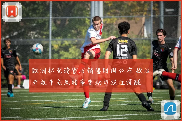 欧洲杯竞猜官方销售时间公布 投注开放节点及赔率变动与投注提醒