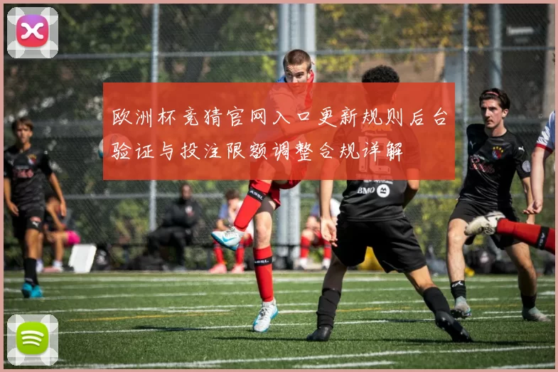 欧洲杯竞猜官网入口更新规则后台验证与投注限额调整合规详解